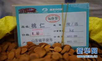 华佗故里 探访康美 亳州 中药材市场