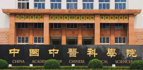 上海10岁男孩坐诊看病,求医者人山人海,老中医 他是华佗转世