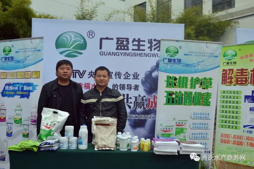 近600人参会大部分是经销商,荣誉和掌声属于他们