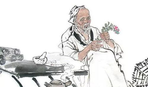 专栏 药食同源 让厨房变成养生 药房 之茵陈
