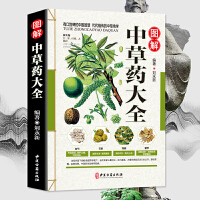 华佗医药 中医史上的外科圣手与养生先驱